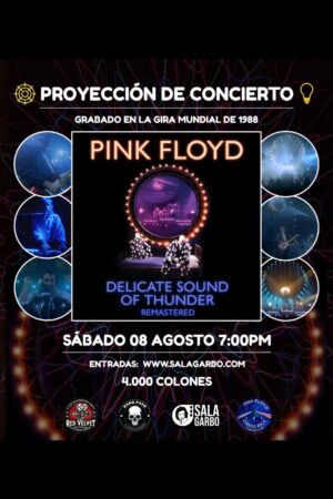 pink floyd